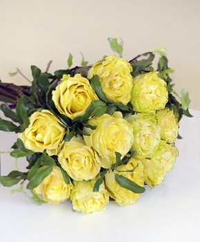 Bouquet of 12 Yellow Roses