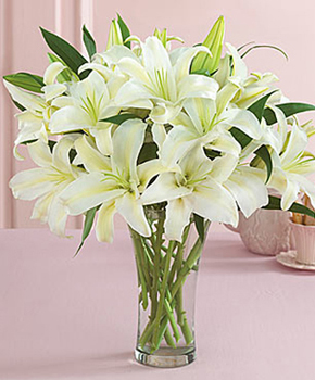 Perfect White Lilies