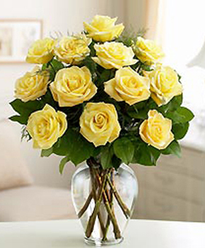 A Dozen Yellow Roses